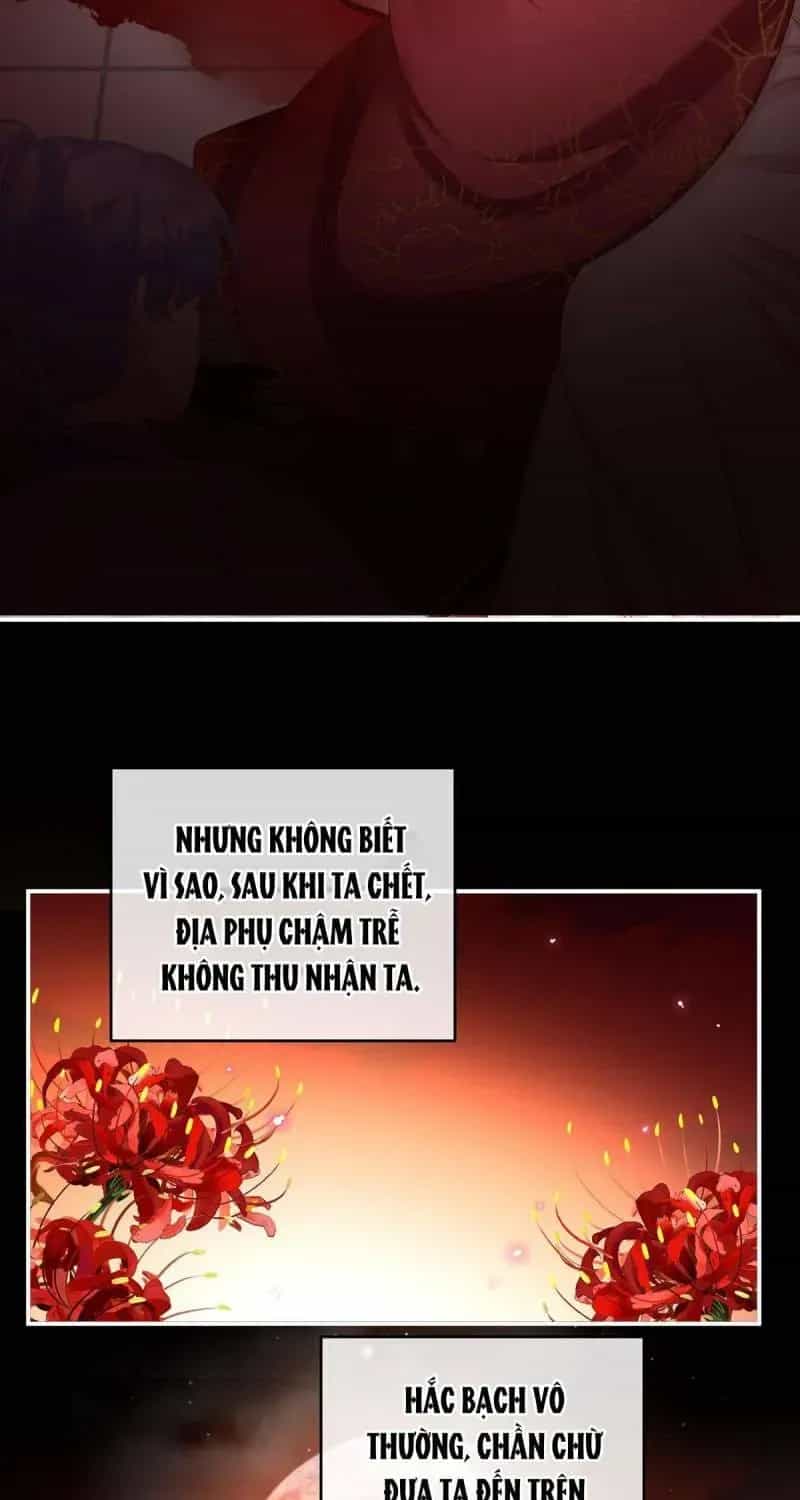 Kiều Phu Có Hỉ - Chương 77 - ảnh 25