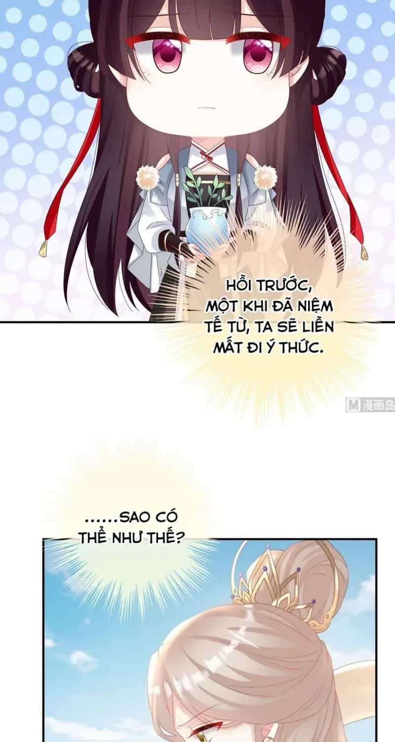 Kiều Phu Có Hỉ - Chương 82 - ảnh 16
