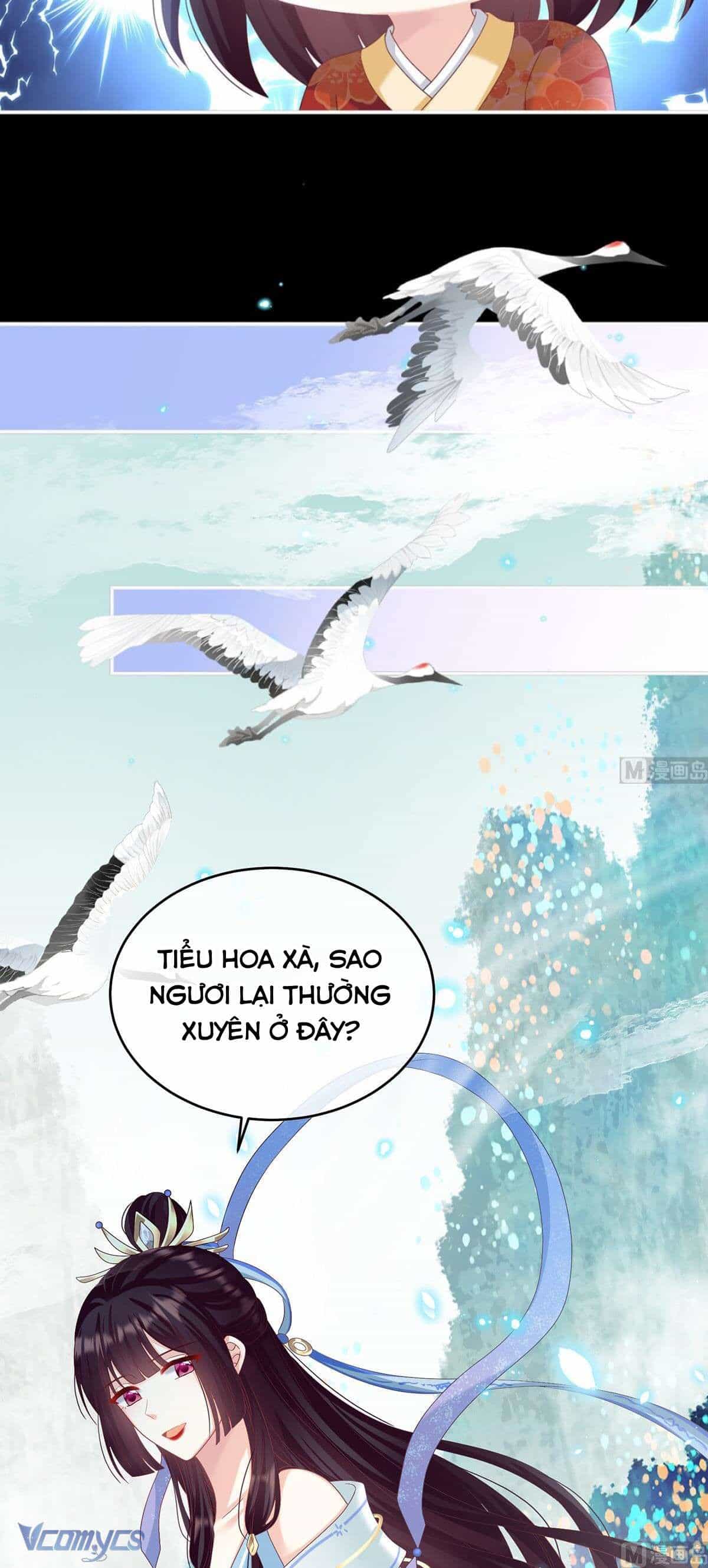 Kiều Phu Có Hỉ - Chương 85 - ảnh 3
