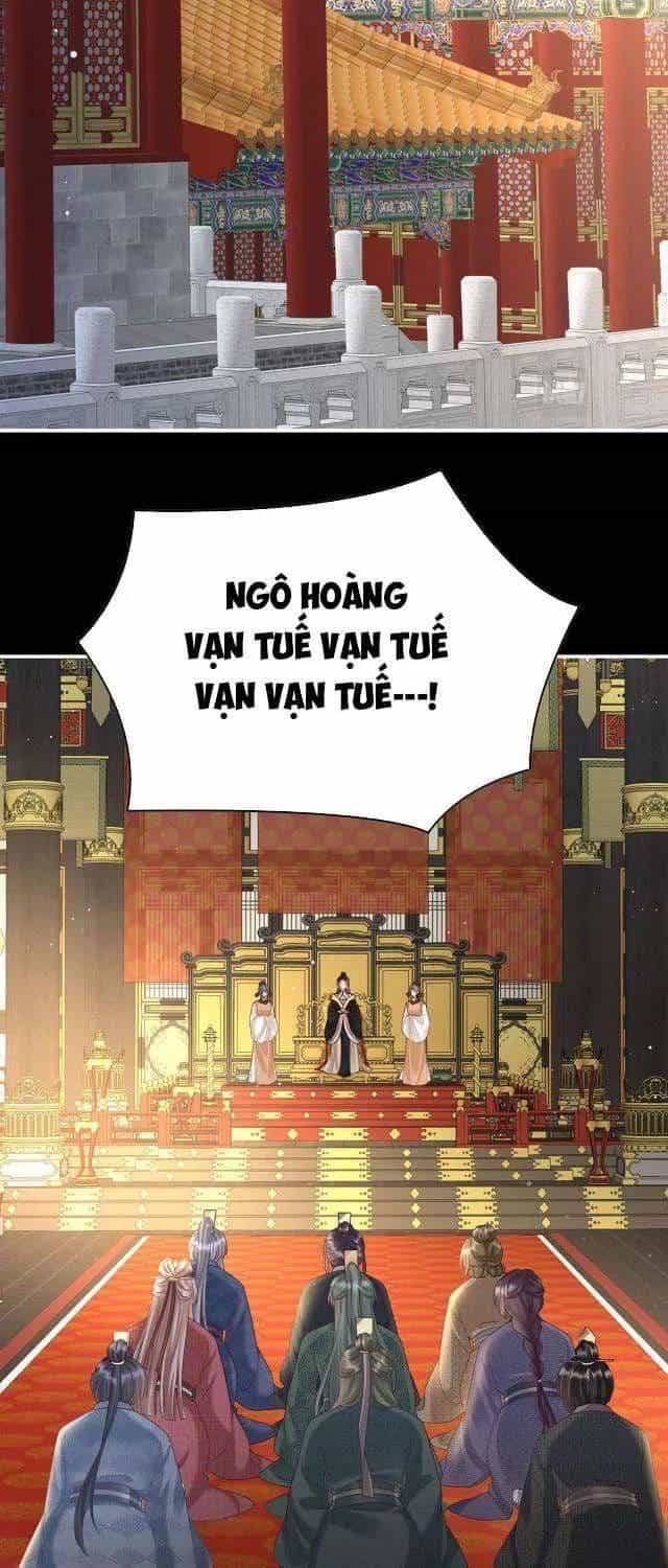 Kiều Phu Có Hỉ - Chương 99 - ảnh 22