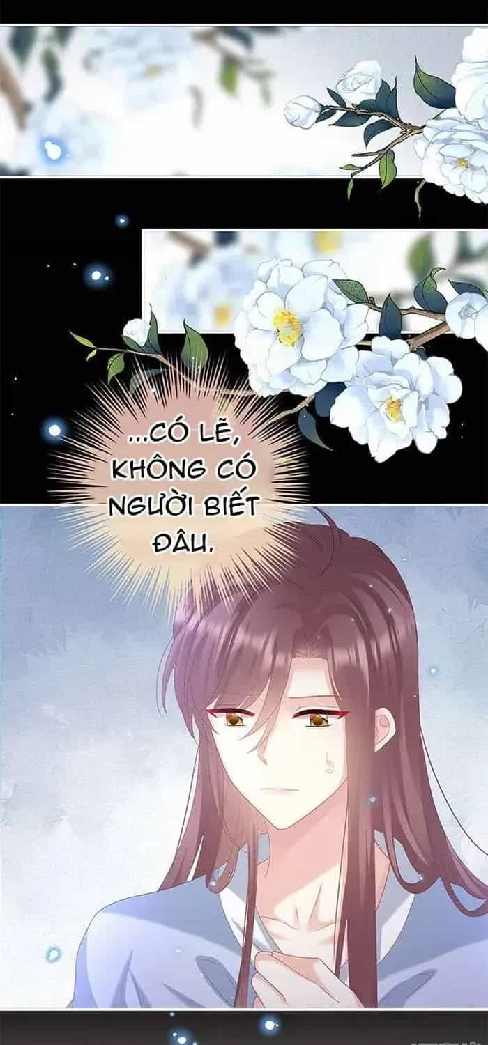 Kiều Phu Có Hỉ - Chương 121 - ảnh 10