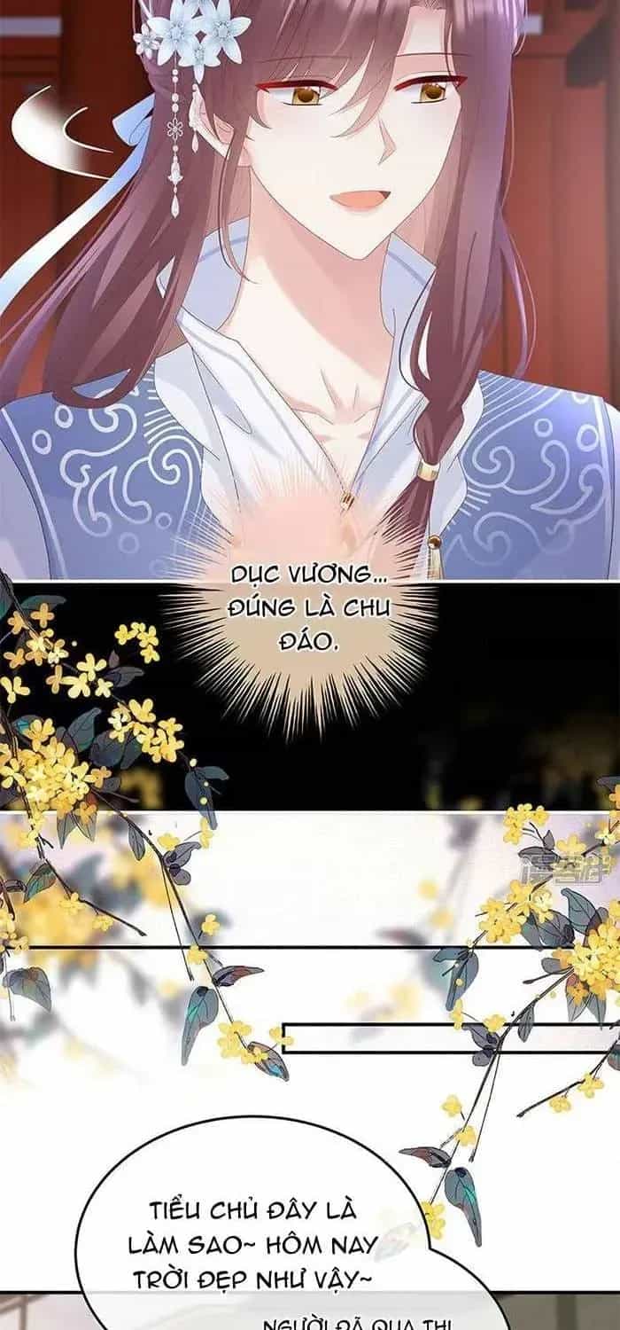 Kiều Phu Có Hỉ - Chương 122 - ảnh 19