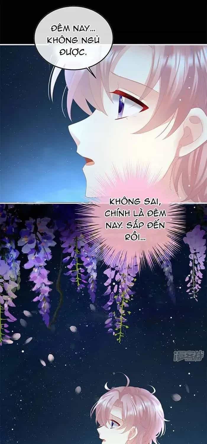 Kiều Phu Có Hỉ - Chương 123 - ảnh 36