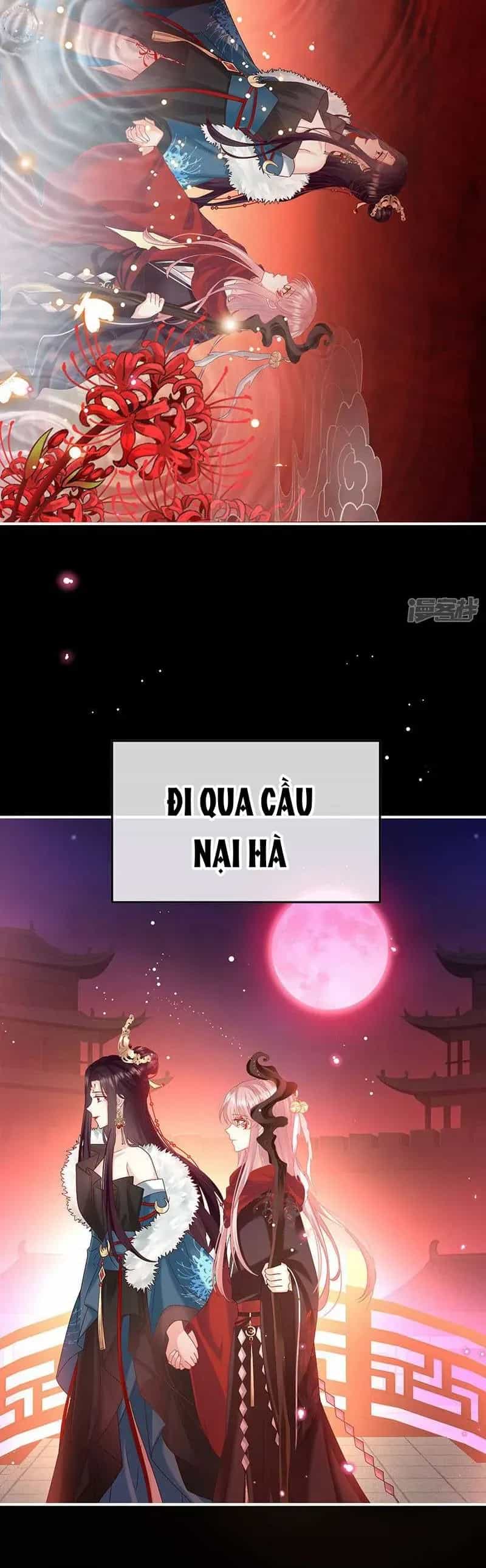 Kiều Phu Có Hỉ - Chương 134 - ảnh 14