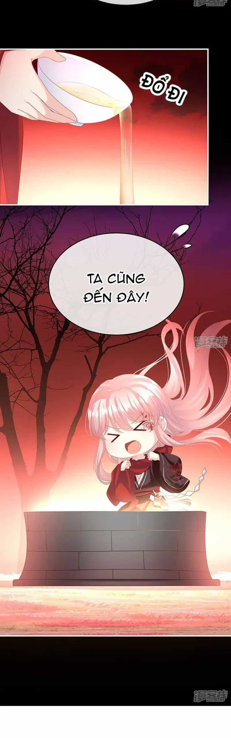 Kiều Phu Có Hỉ - Chương 134 - ảnh 23