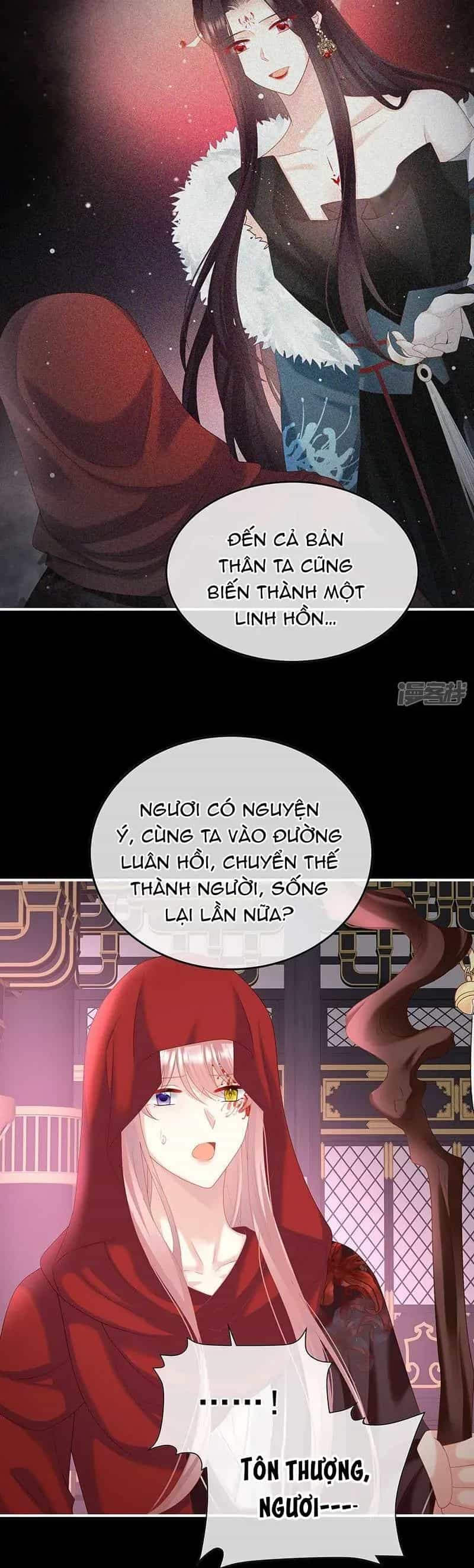 Kiều Phu Có Hỉ - Chương 134 - ảnh 9