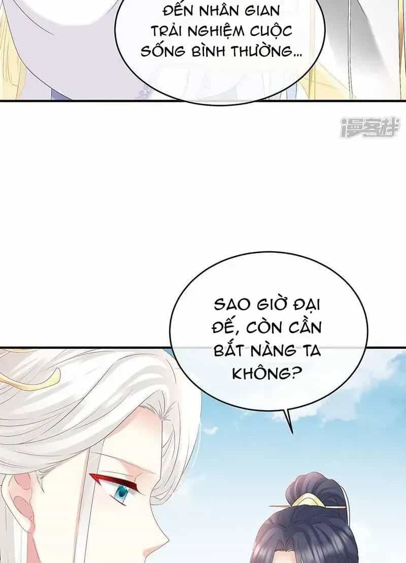 Kiều Phu Có Hỉ - Chương 138 - ảnh 15