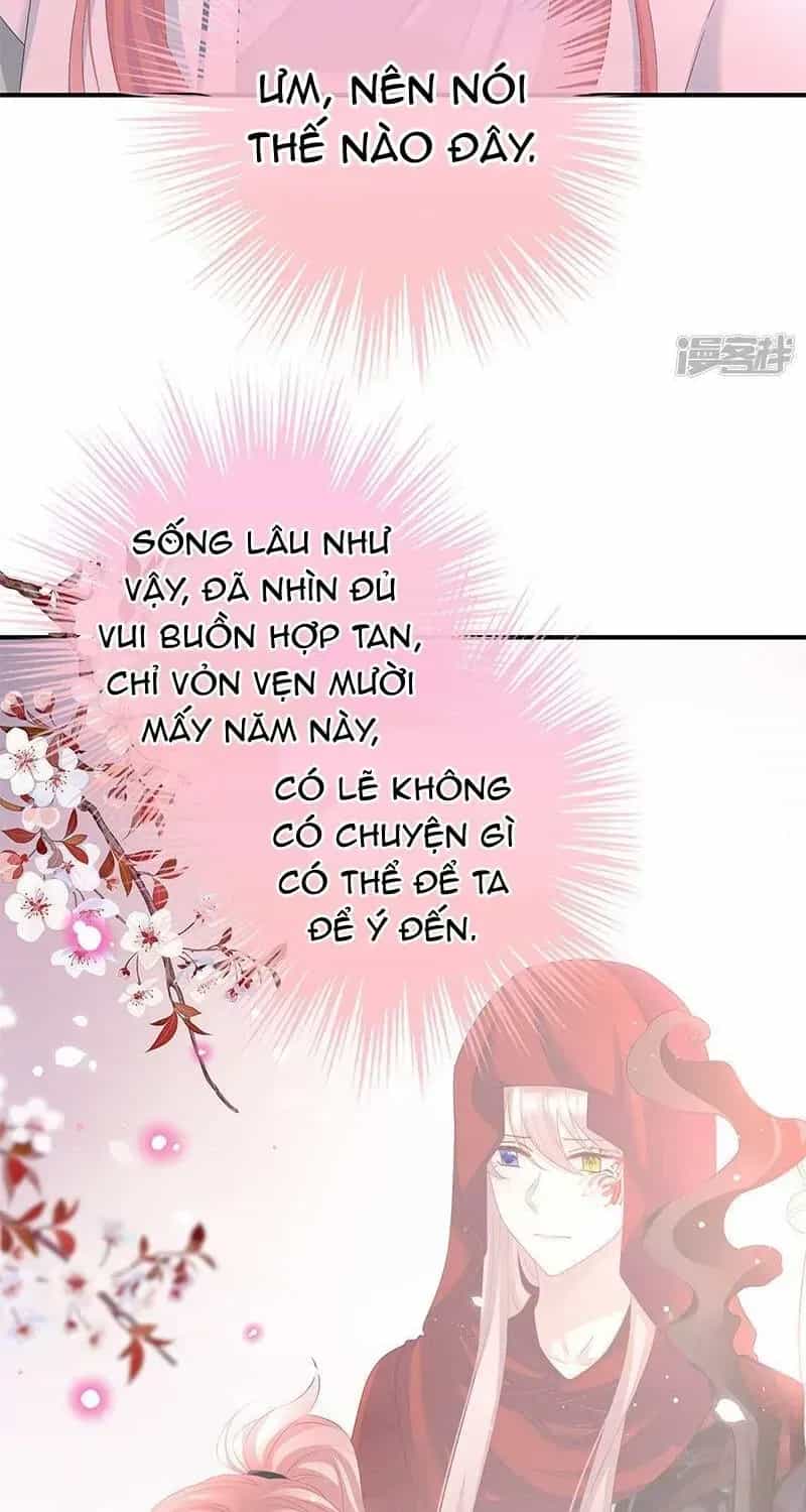 Kiều Phu Có Hỉ - Chương 139 - ảnh 40
