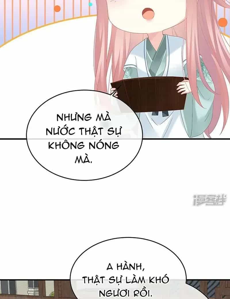Kiều Phu Có Hỉ - Chương 140 - ảnh 34
