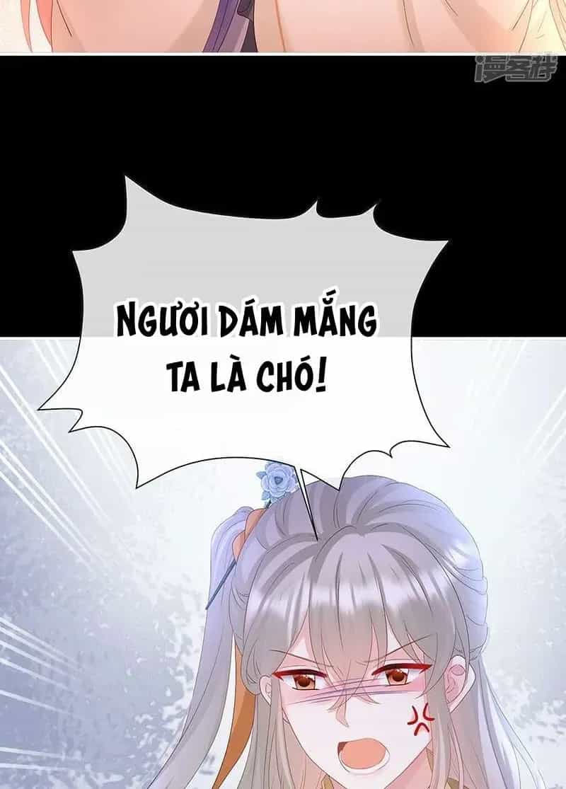 Kiều Phu Có Hỉ - Chương 141 - ảnh 15