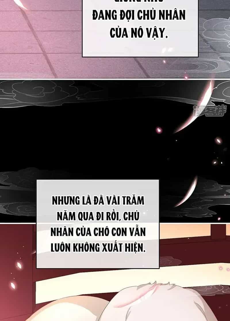 Kiều Phu Có Hỉ - Chương 141 - ảnh 19