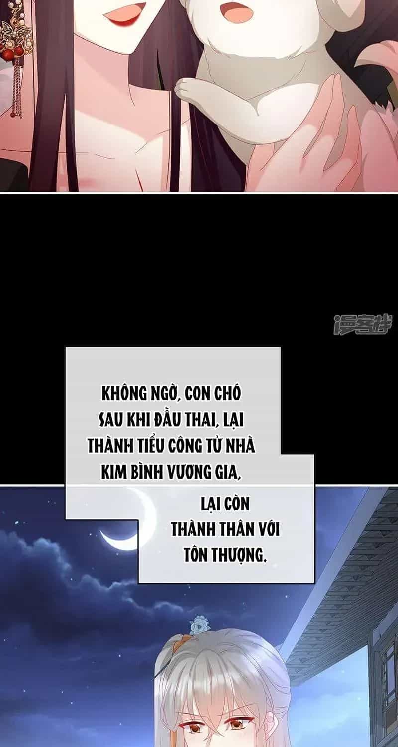 Kiều Phu Có Hỉ - Chương 141 - ảnh 24