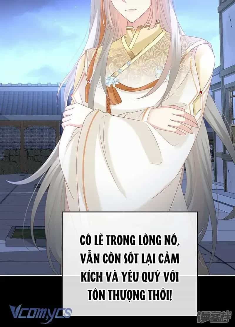 Kiều Phu Có Hỉ - Chương 141 - ảnh 25