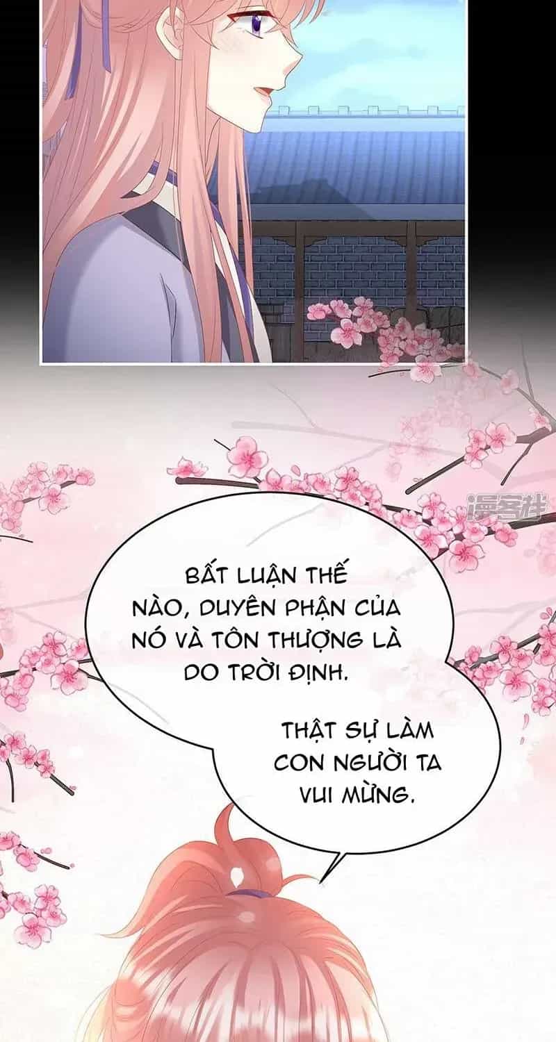Kiều Phu Có Hỉ - Chương 141 - ảnh 30