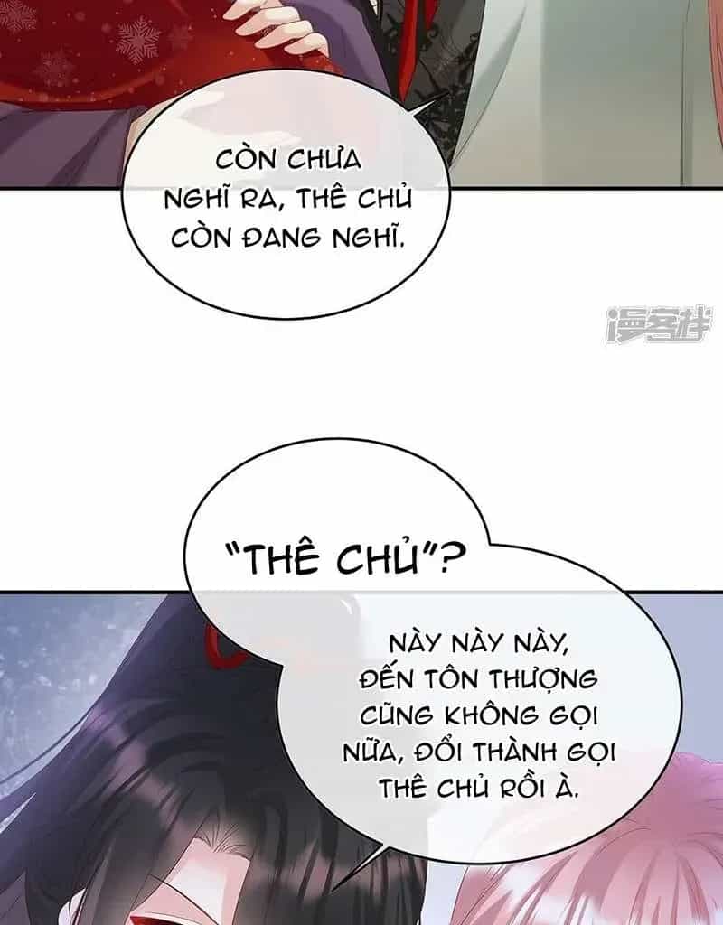 Kiều Phu Có Hỉ - Chương 142 - ảnh 23
