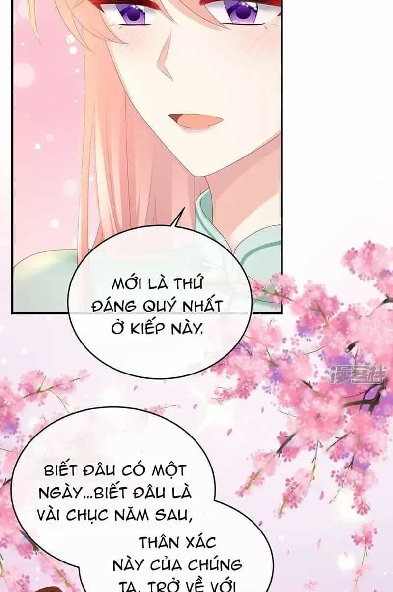 Kiều Phu Có Hỉ - Chương 142 - ảnh 41