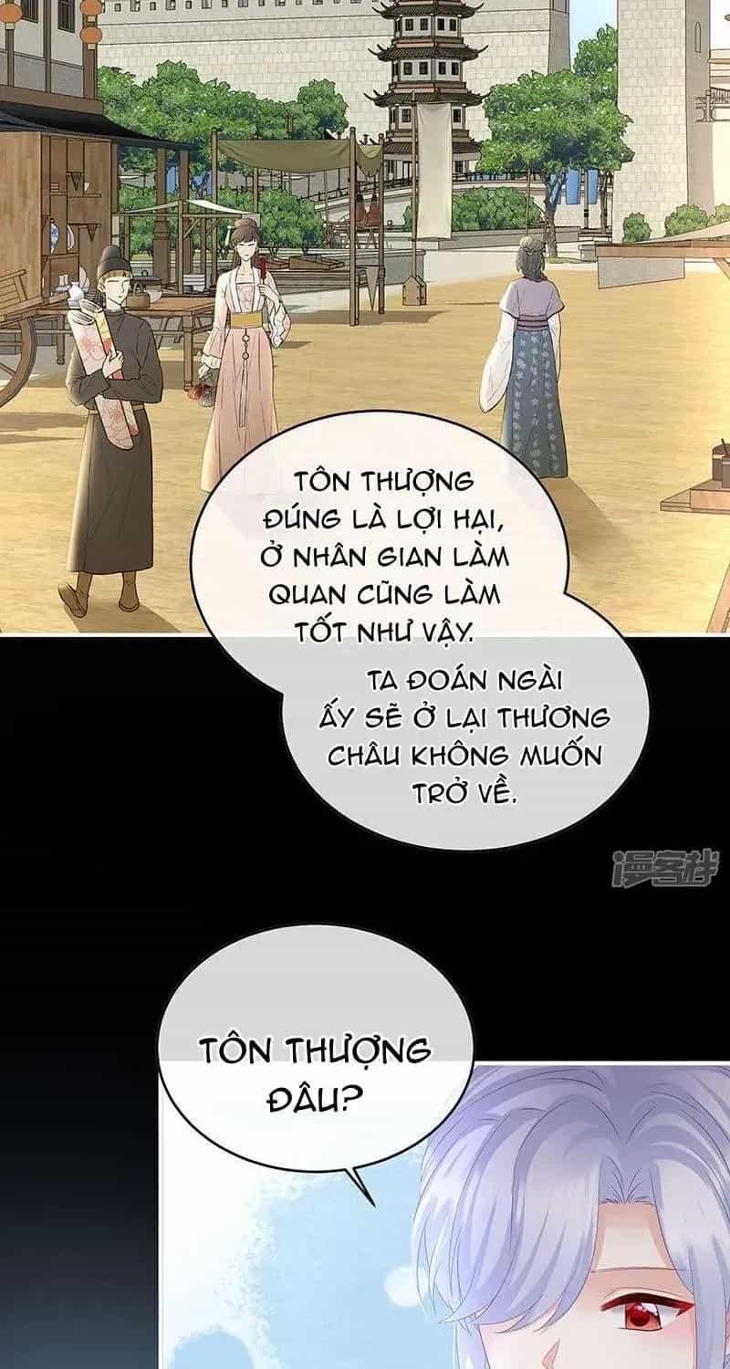 Kiều Phu Có Hỉ - Chương 146 - ảnh 16