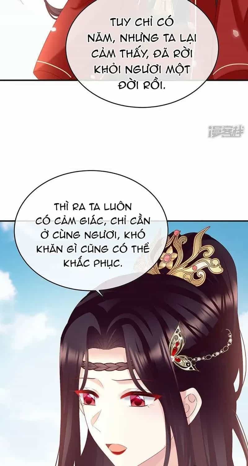 Kiều Phu Có Hỉ - Chương 146 - ảnh 24