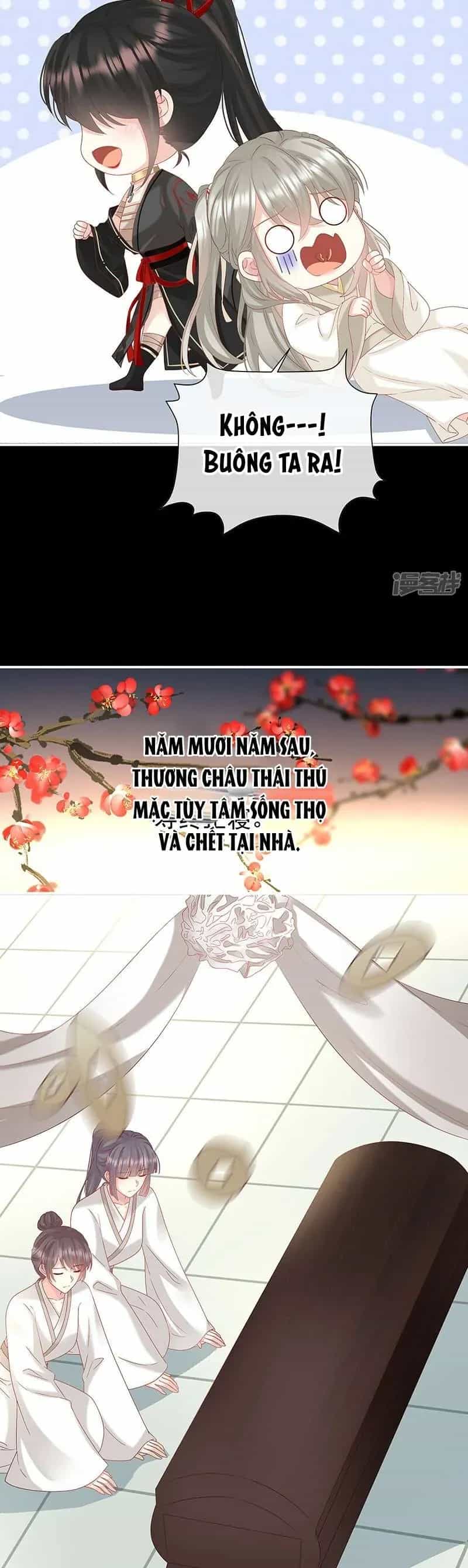 Kiều Phu Có Hỉ - Chương 147 - ảnh 2