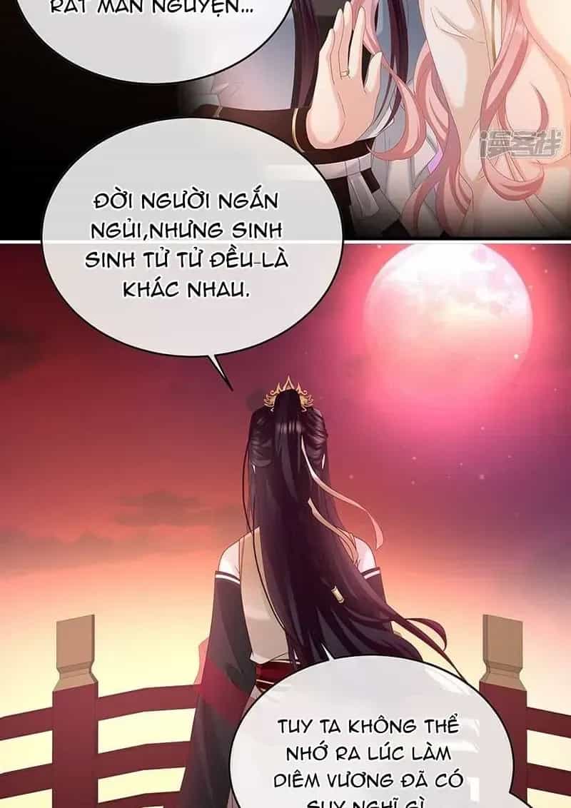 Kiều Phu Có Hỉ - Chương 147 - ảnh 31
