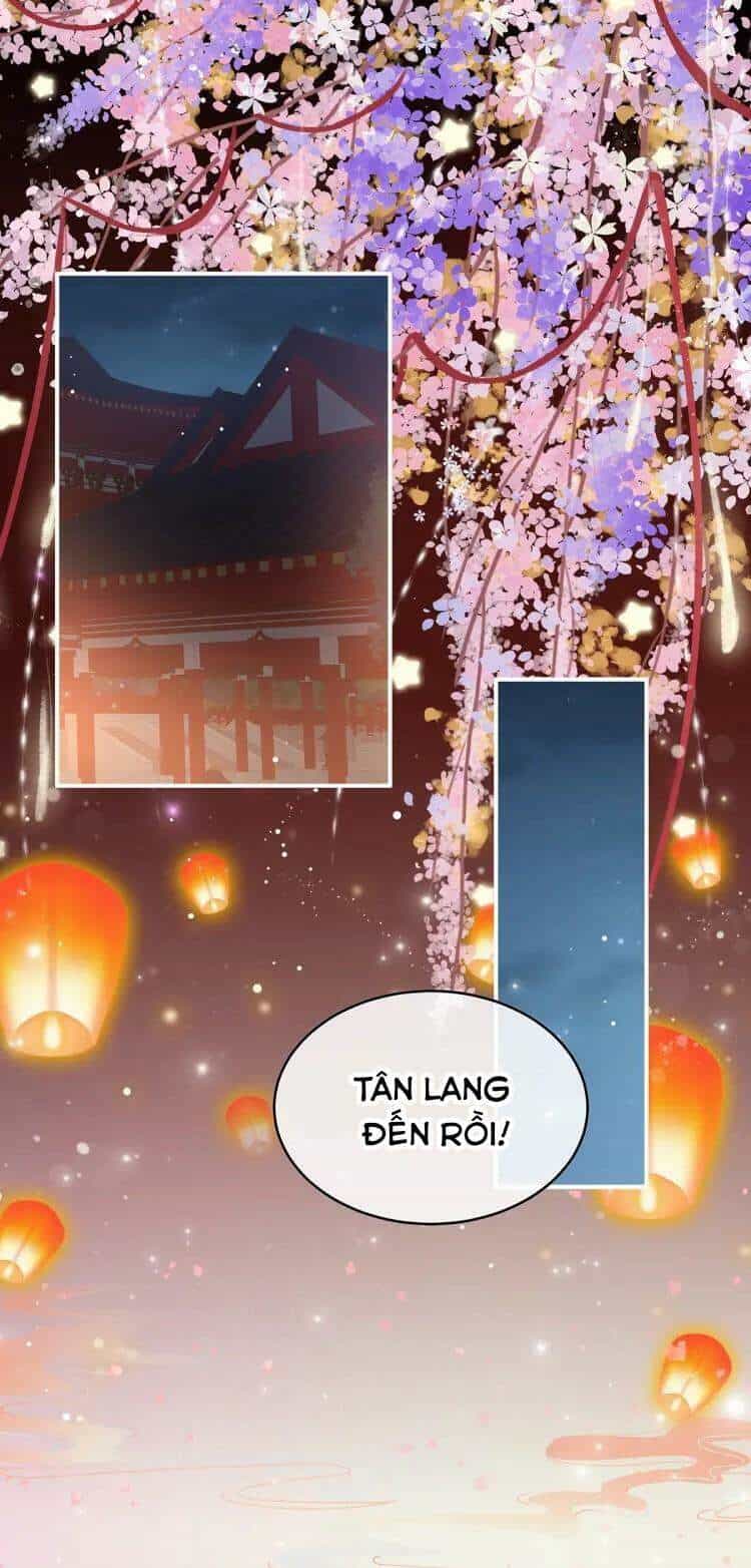 Kiều Phu Có Hỉ - Chương 49 - ảnh 21