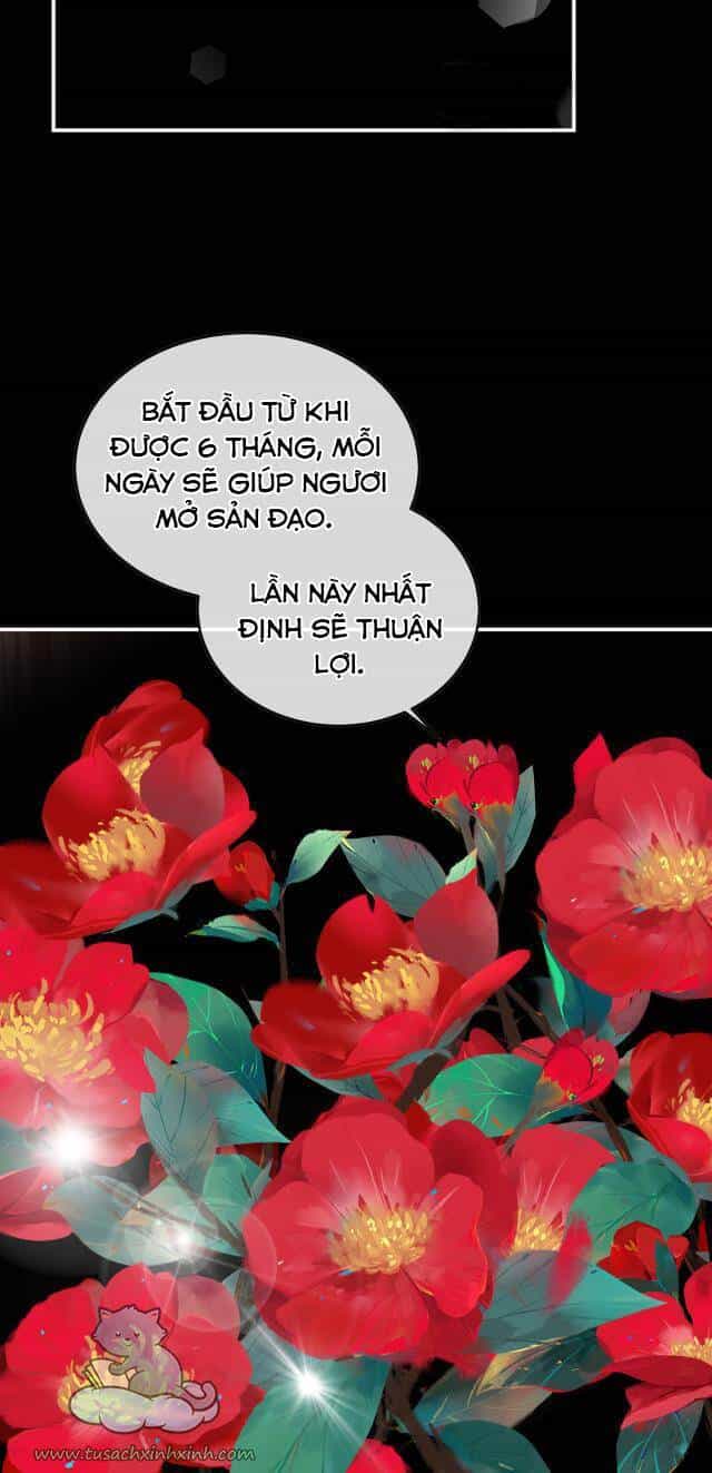 Kiều Phu Có Hỉ - Chương 53 - ảnh 31