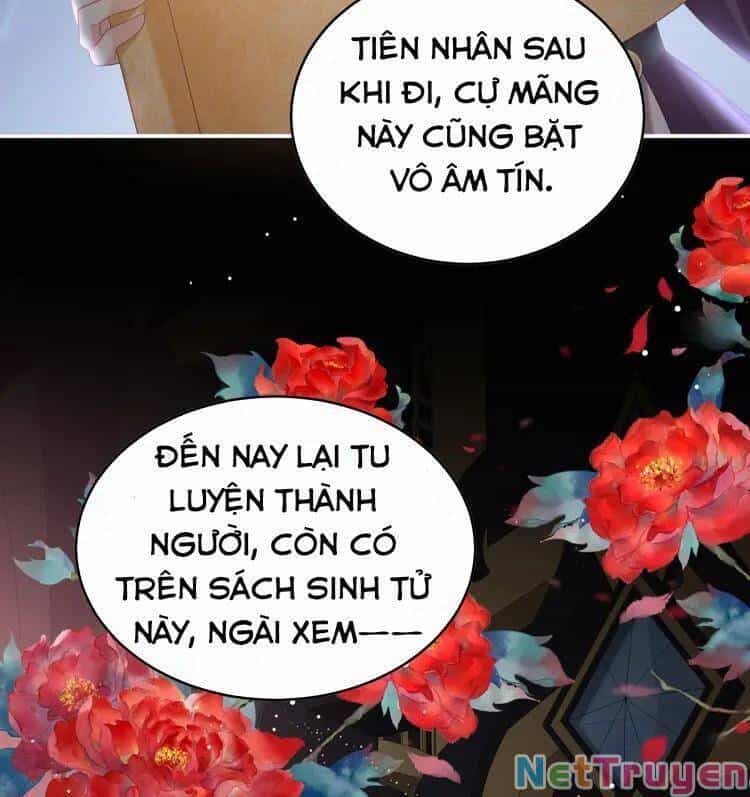 Kiều Phu Có Hỉ - Chương 56 - ảnh 29