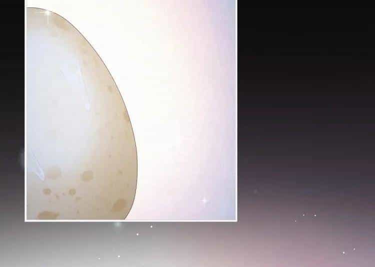 Kiều Phu Có Hỉ - Chương 58 - ảnh 15
