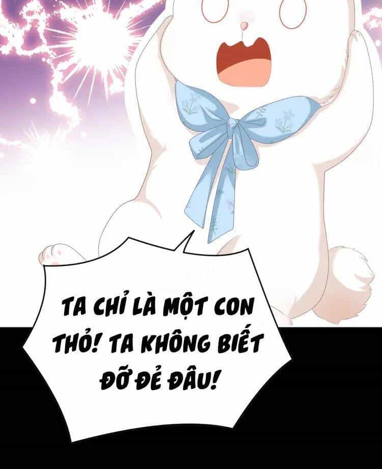Kiều Phu Có Hỉ - Chương 58 - ảnh 6
