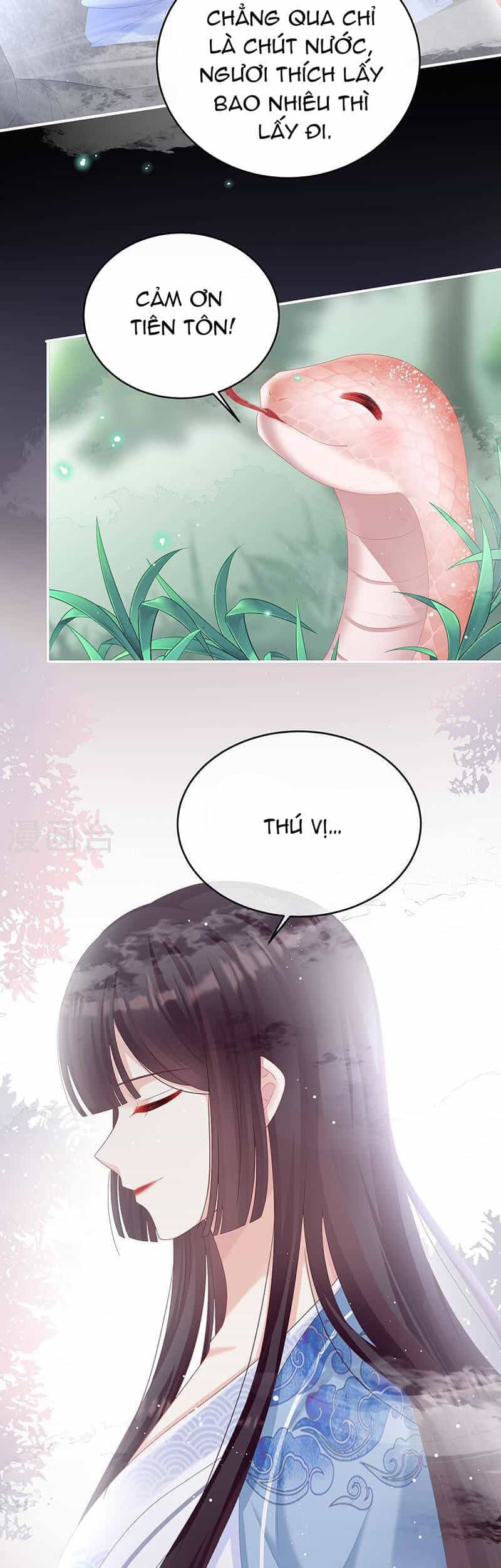 Kiều Phu Có Hỉ - Chương 67 - ảnh 14