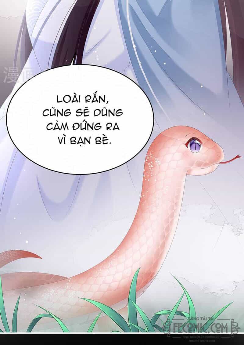 Kiều Phu Có Hỉ - Chương 67 - ảnh 15