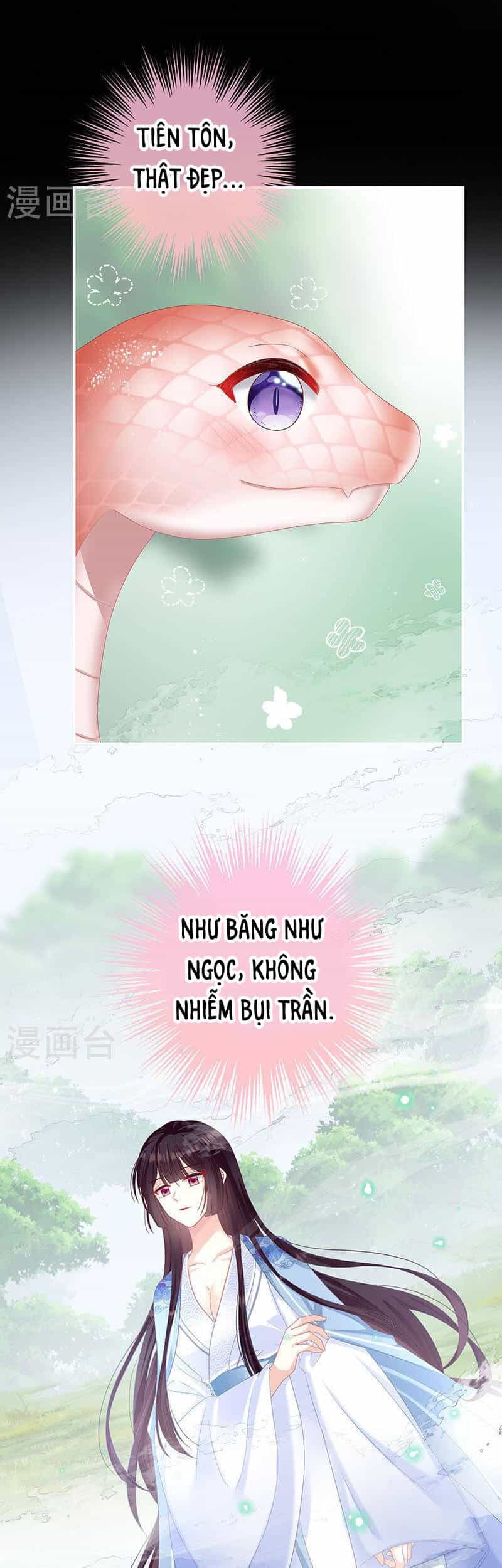 Kiều Phu Có Hỉ - Chương 67 - ảnh 16
