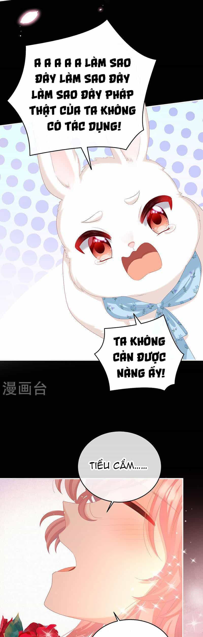 Kiều Phu Có Hỉ - Chương 67 - ảnh 20
