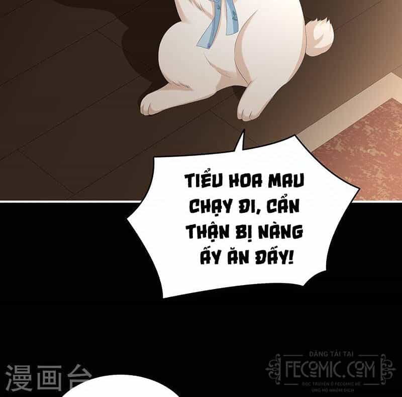 Kiều Phu Có Hỉ - Chương 67 - ảnh 6
