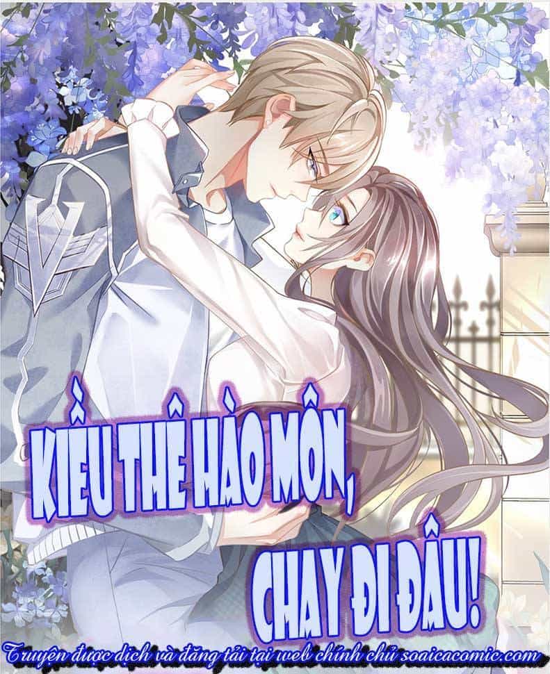 Kiều Thê Hào Môn Chạy Đi Đâu - Chương 9 - ảnh 1