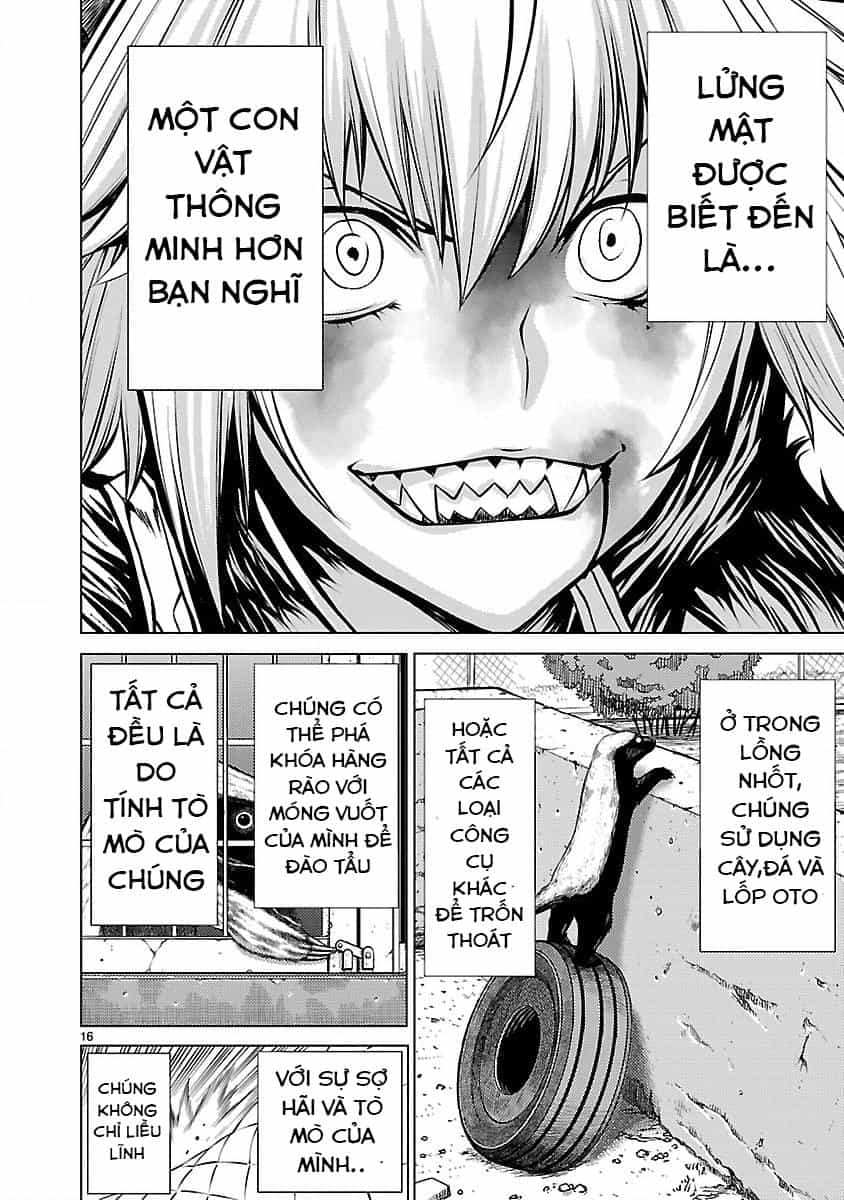 Killing Bites - Chương 14 - ảnh 18
