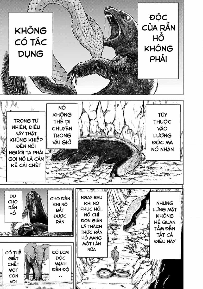 Killing Bites - Chương 15 - ảnh 21