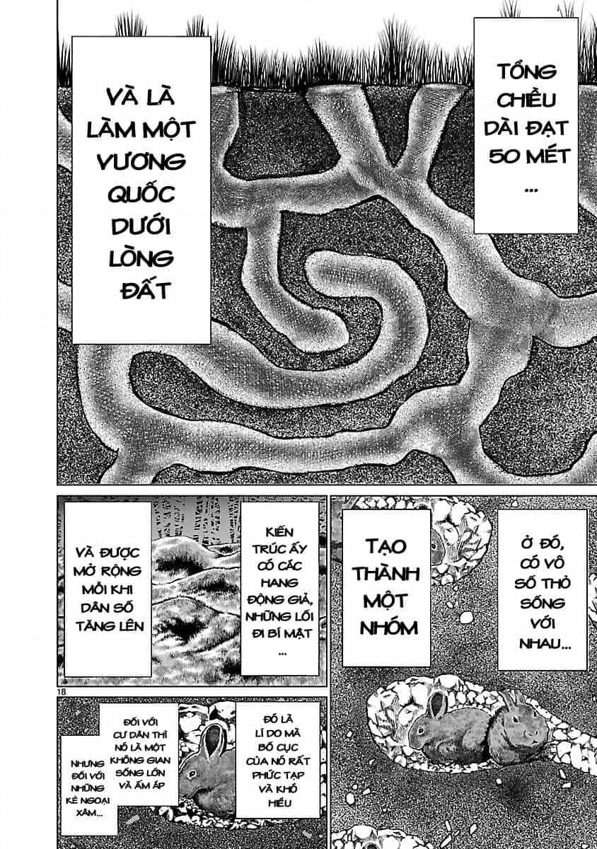 Killing Bites - Chương 18 - ảnh 22