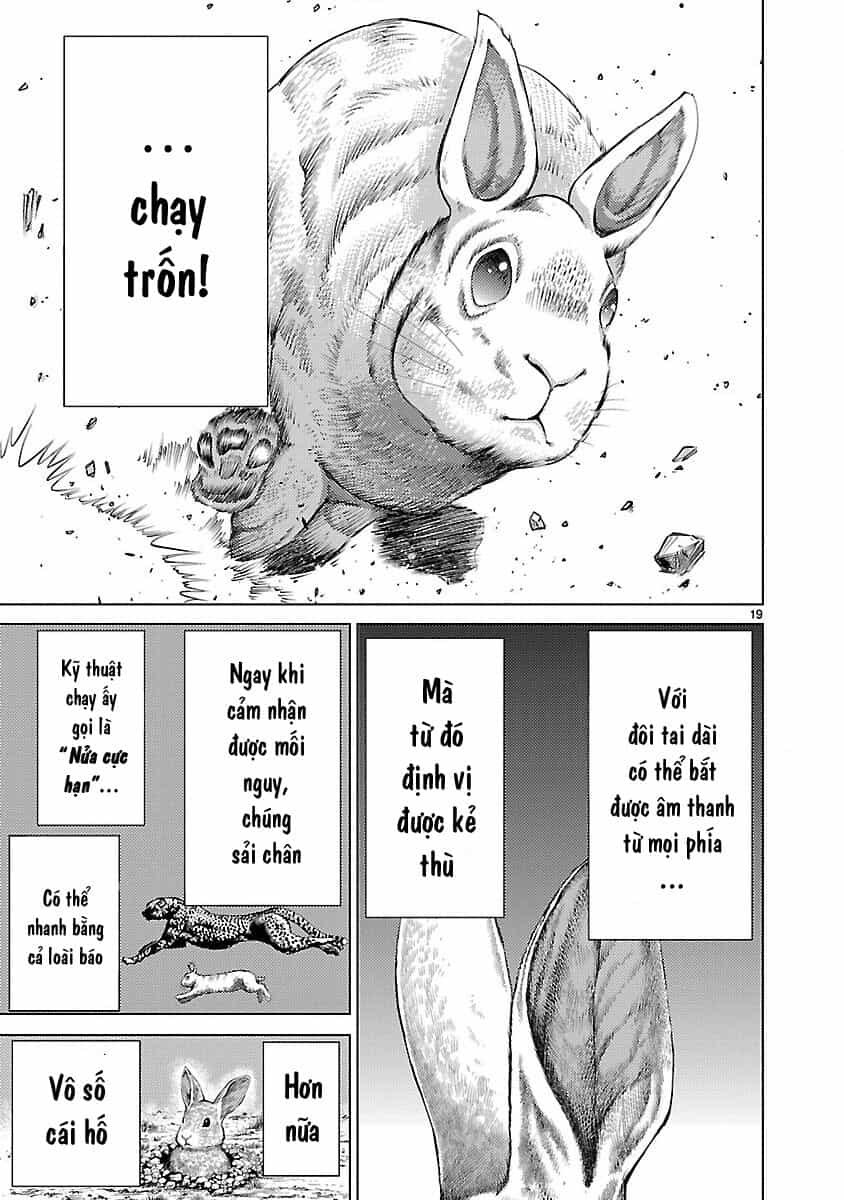 Killing Bites - Chương 19 - ảnh 22