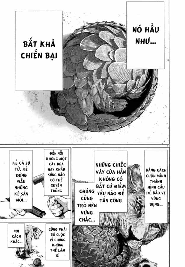 Killing Bites - Chương 24 - ảnh 15