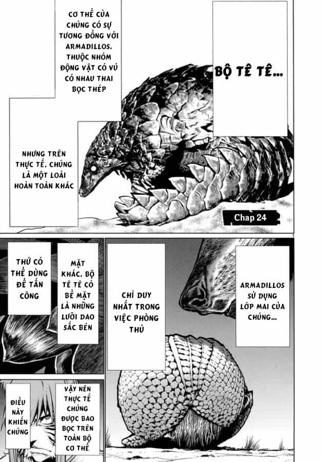 Killing Bites - Chương 24 - ảnh 5