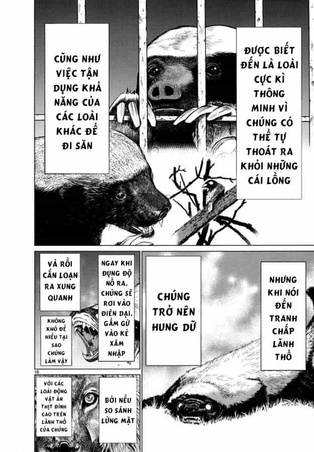 Killing Bites - Chương 26 - ảnh 20