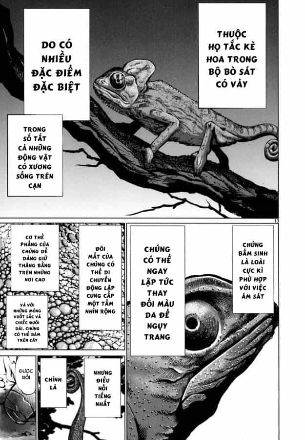 Killing Bites - Chương 29 - ảnh 17