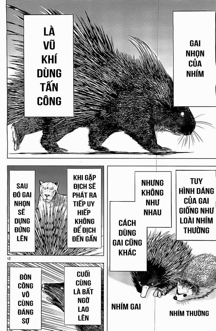 Killing Bites - Chương 3 - ảnh 12