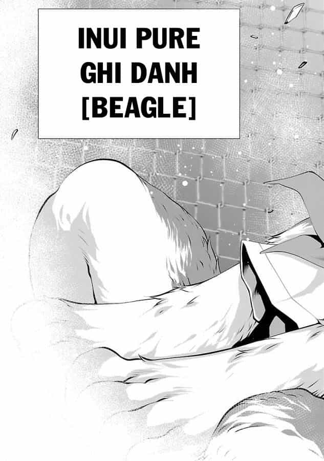 Killing Bites - Chương 31 - ảnh 48