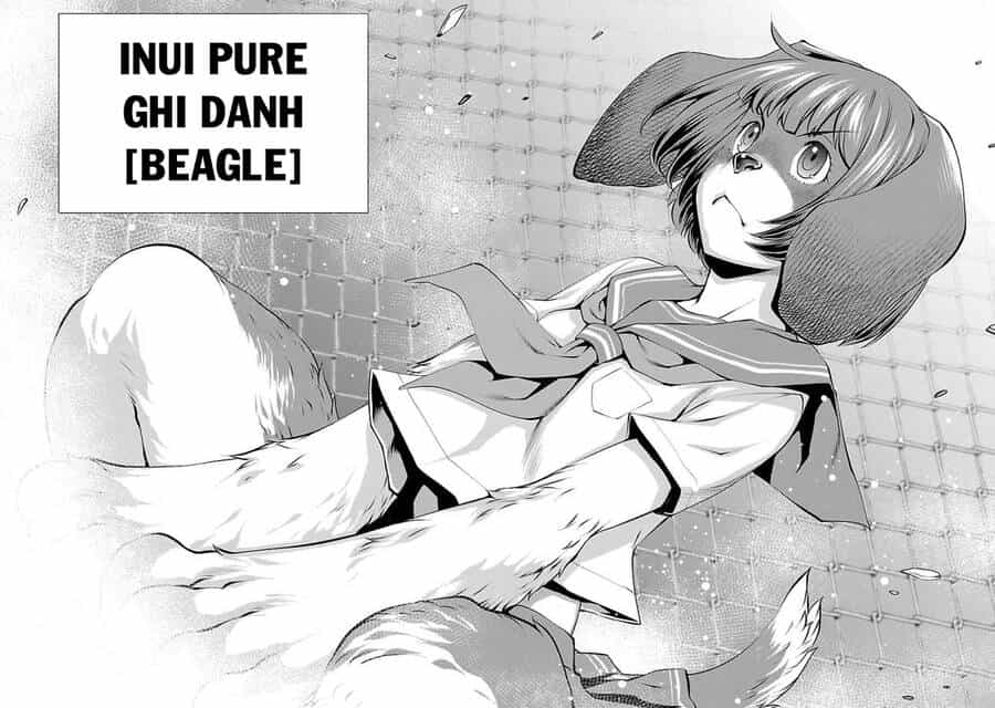 Killing Bites - Chương 31 - ảnh 50