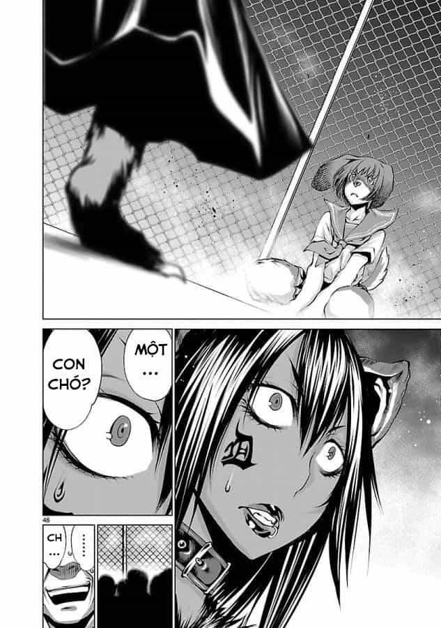 Killing Bites - Chương 31 - ảnh 51