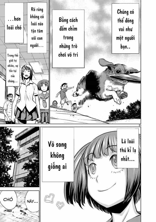 Killing Bites - Chương 34 - ảnh 26
