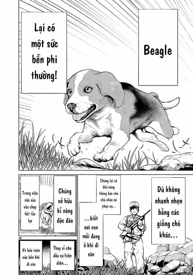 Killing Bites - Chương 34 - ảnh 52