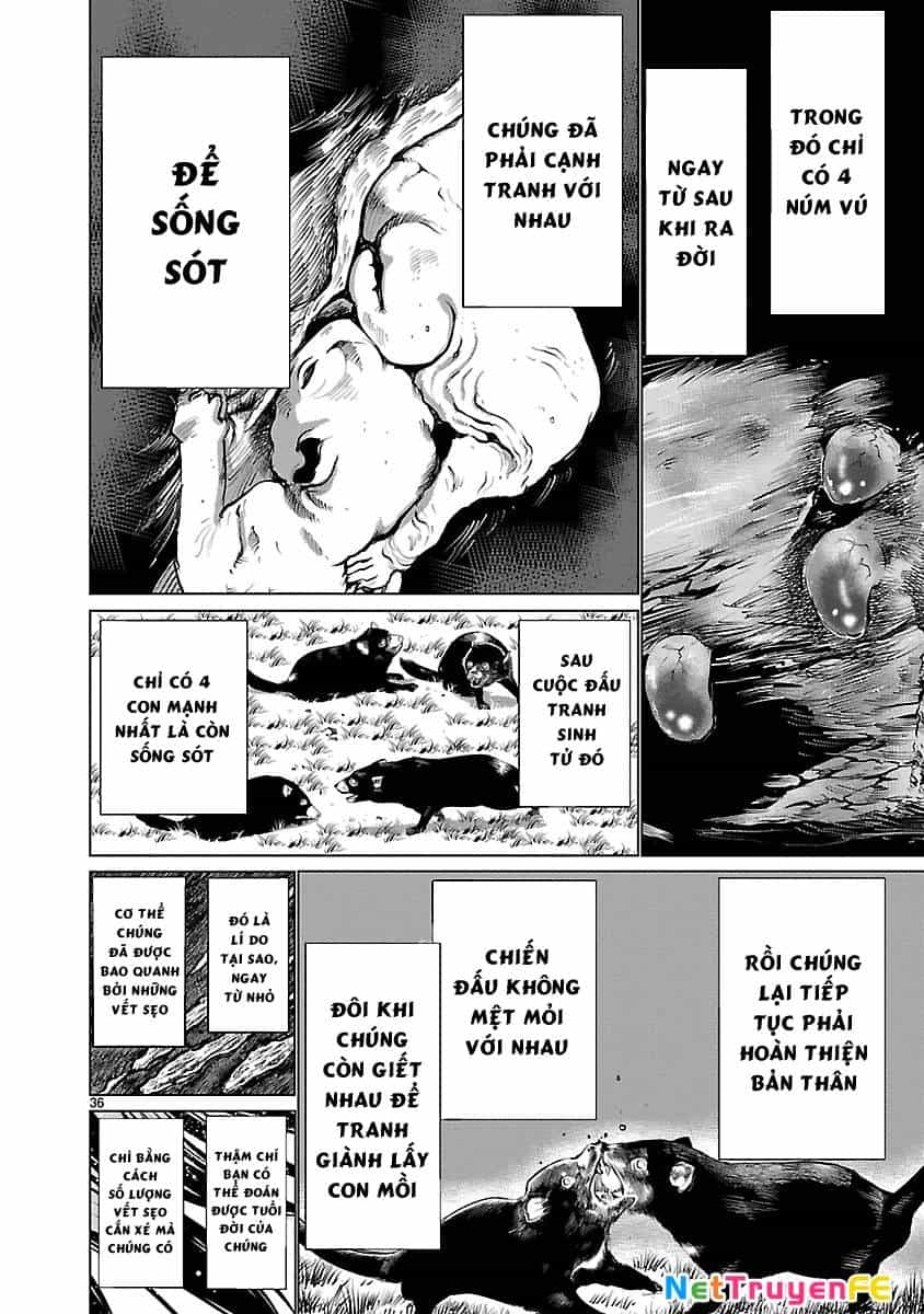Killing Bites - Chương 36 - ảnh 40